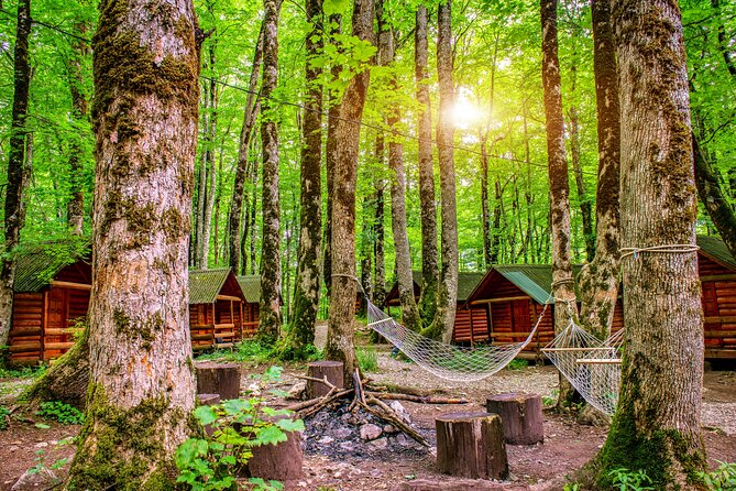 Skip the Line Tickets: National Park Biogradska Gora - Cancellation Policy