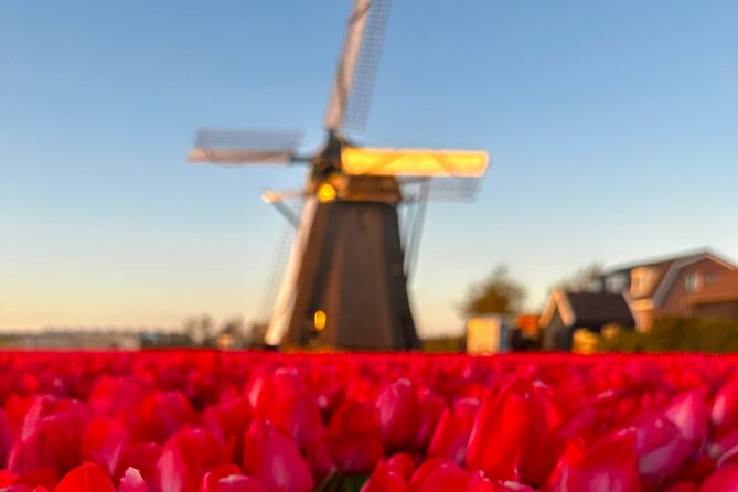 Small Group Bike Tour to Tulips Field in Lisse - Cancellation Policy