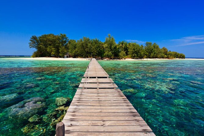 Snorkeling and Island Hopping Tour in Karimunjawa - Operating Hours