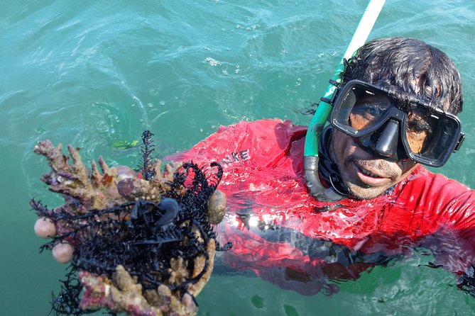 Snorkeling in Bar Reef Marine Sanctuary - Meeting Point: Diving Center in Kalpitiya