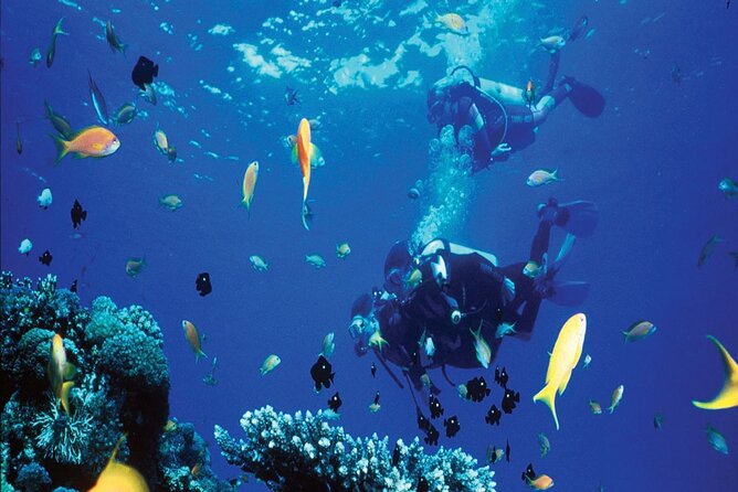 Snorkeling Sea Excursion to Paradise Island in Hurghada - Pricing and Cancellation Policy