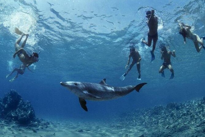 Snorkeling Trip With Dolphin at Samadai by VIP Boat-Marsa Alam - Booking Confirmation