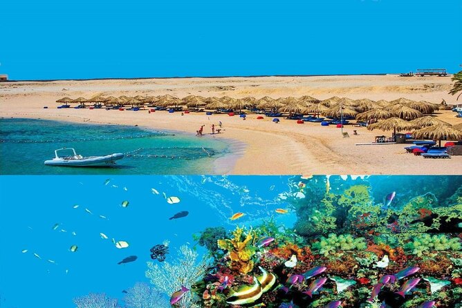 Snorkeling With Turtles in Sharm El Naga Full Day From Hurghada - Price Information