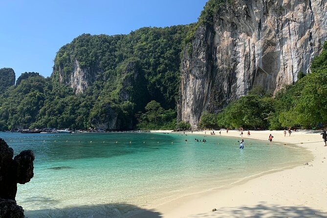 Snorkelling Tour to Surin Island From Khao Lak by Speed Boat - Marine Life Encounter