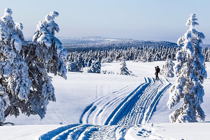Snowshoe Trip for Searching Arctic Animals - Additional Information