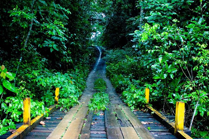 Soberania National Park Day Trip From Panama City - The Sum Up