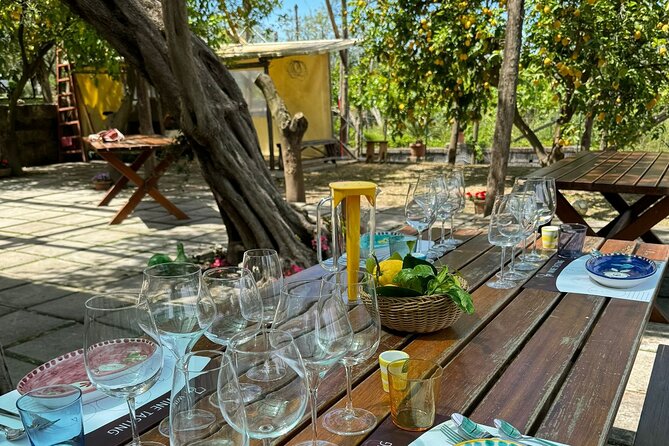 Sorrento Wine Tasting Experience - Accessibility Information