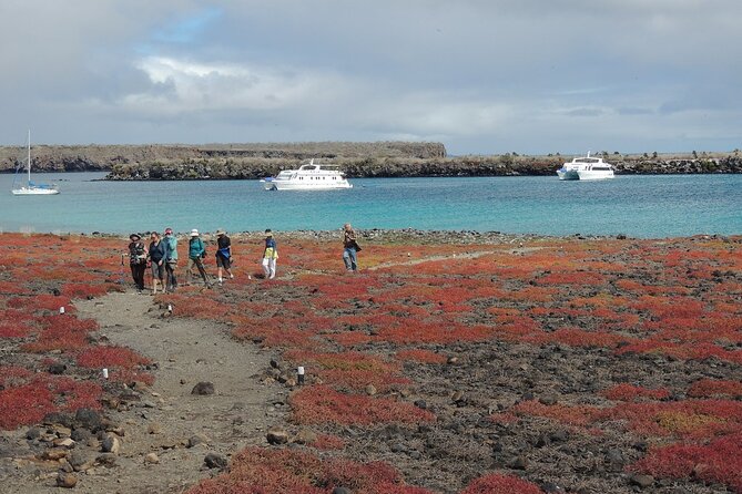 South Plazas and Punta Carrion Day Tour:Land Iguanas & Snorkeling - Pricing and Booking
