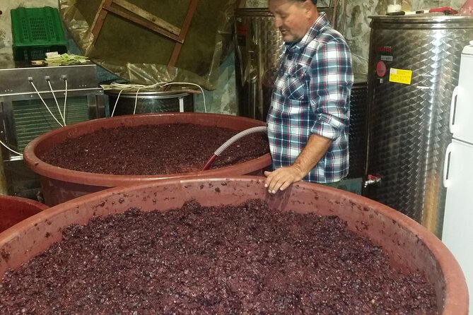 Split Wine Tour-Indigenous Sorts of Kastela Region - Booking and Cancellation Policy