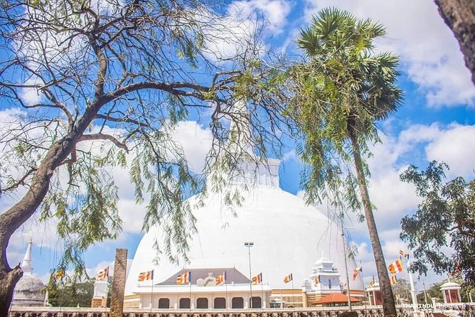 Sri Lanka Honeymoon Tour Package (12 Days , 11 Nights) Oll Including - Frequently Asked Questions