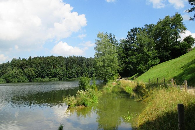 St. Gallen Private Walking Tour With Professional Guide - Additional Information