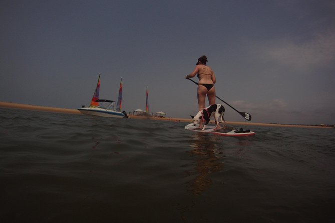 Stand Up Paddle! - Lowest Price Guarantee and Cancellation Policy