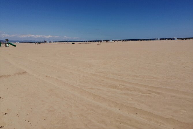 Stand Up Paddling Boarding Tour and Paella Lunch in Valencia - Highlights