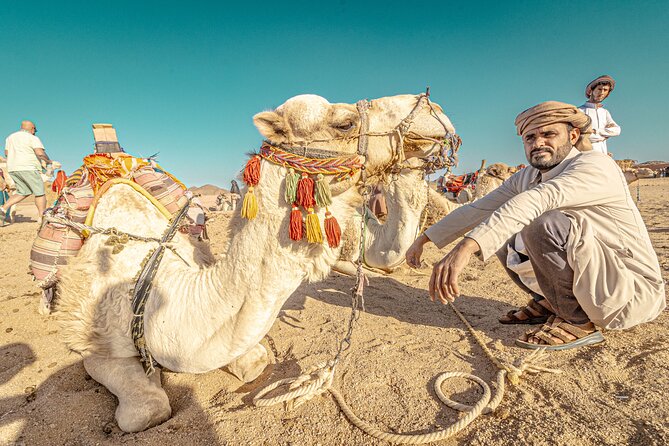 Stargazing Safari Adventure With Camel Ride, Dinner in Hurghada - Pickup Information