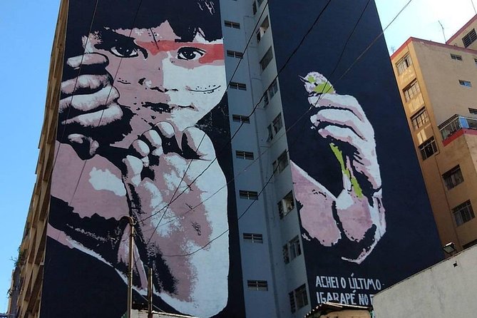 Street Art & Graffiti Sao Paulo 4-Hour Private Tour - Tips for Participants
