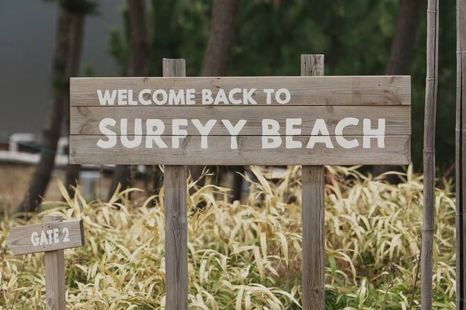 Summer Season Round Trip for Seorak Mountain and Surfy Beach - Meeting Points and Pickup