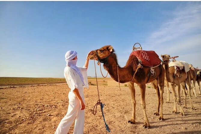 Sunset Camel Ride and Dinner in Agafay Desert. - Schedule and Accessibility