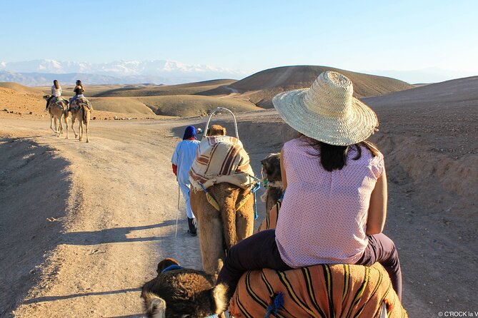 Sunset Camel Ride in the Palmeraie Oasis - Pricing Information