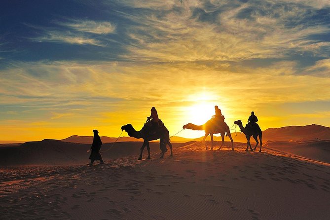 Sunset Dinner Experience and Camel Ride in Agafay Desert - Cancellation Policy and Booking Guarantee