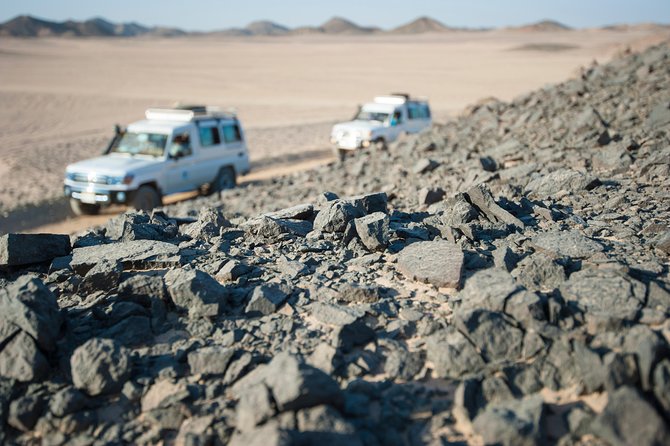 Super Safari Excursion By Jeep, ATV, Sunset Dinner and Camel Ride - Marsa Alam - Operator Details