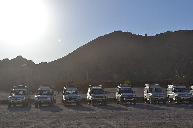 Super Safari Quad Jeep Camel Ride BBQ Dinner From Marsa Alam - Expectations and Additional Info