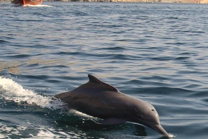 Super Special Sea Trip - Special Instructions for Cruise Ship Passengers
