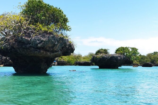 Swim Safari Blue & Visit Stone Town to Help Zanzibar People - Cancellation Policy and Refund Conditions