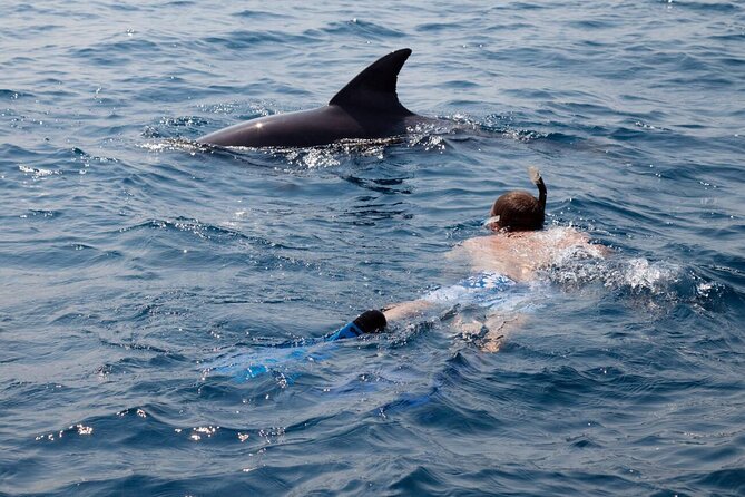 Swimming With Dolphin Private Speed Boat Experience in Hurghada - Additional Information