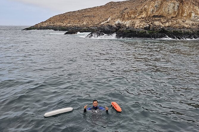 Swimming With Sea Lions in Lima - Pricing and Payment Options