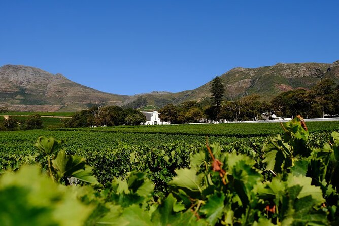 Table Mountain, Kirstenbosch & Constantia Full Day Private Tour - Accessibility Features