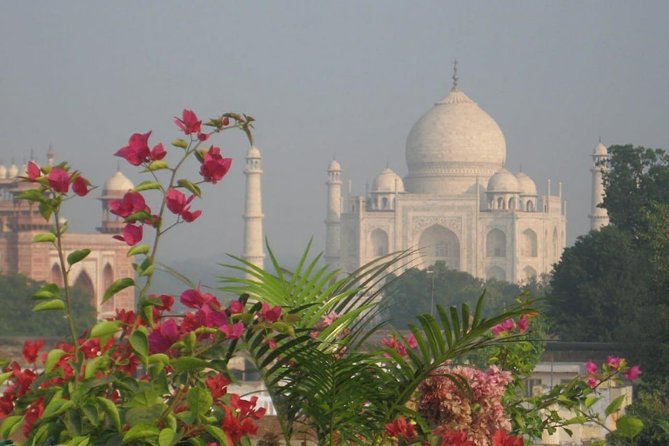 Taj Mahal Tour With Elephant and Bear Conservation Center From Delhi - Pricing Information