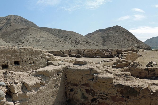 Tambo Colorado Guided Tour From Paracas - Travelers Reviews