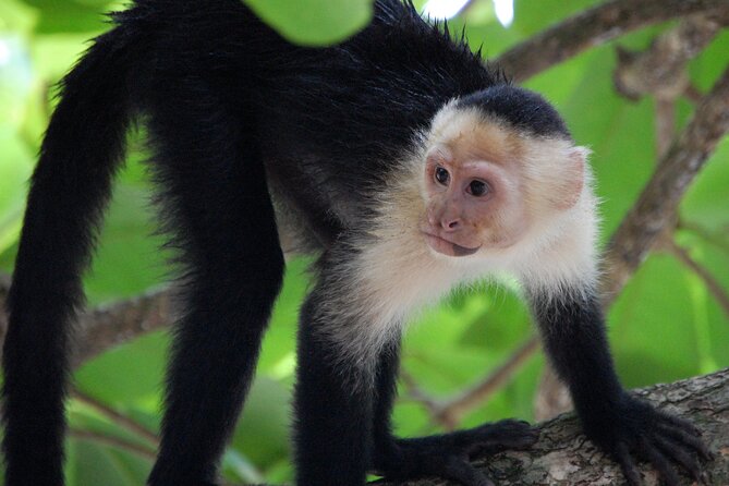 Tambopata Amazon Reserved Zone Exclusive Experience (6 Days) - The Sum Up