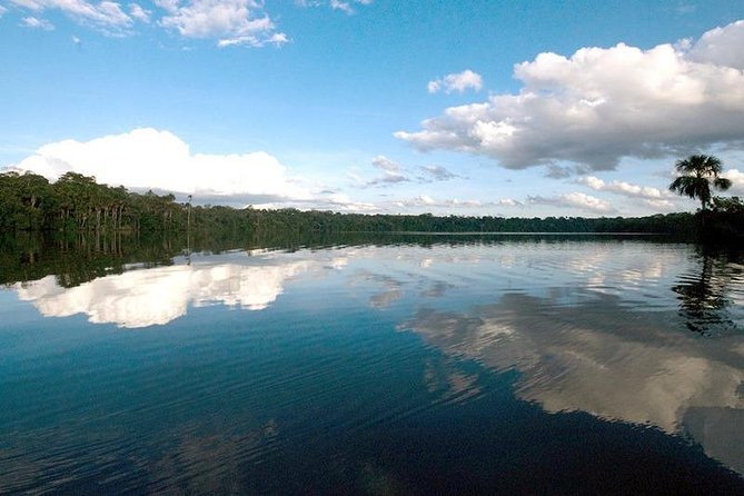 Tambopata National Reserve: Jungle and Adventure 4 Days - Booking and Pickup Information