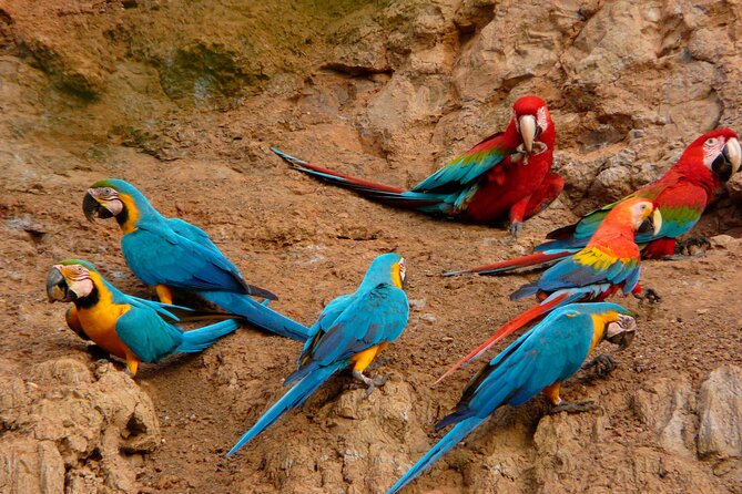 Tambopata National Reserve Tour (3 Days) - Transportation Logistics