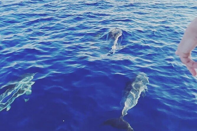 Taormina Dolfin 2-Hour Boat Tour - Additional Info