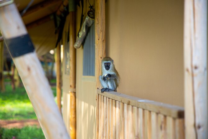 Tarangire and Lake Manyara National Park 2-Day Safari From Zanzibar With Flights - Cancellation Policy