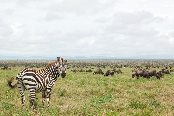 Tarangire National Park - Travel and Accessibility