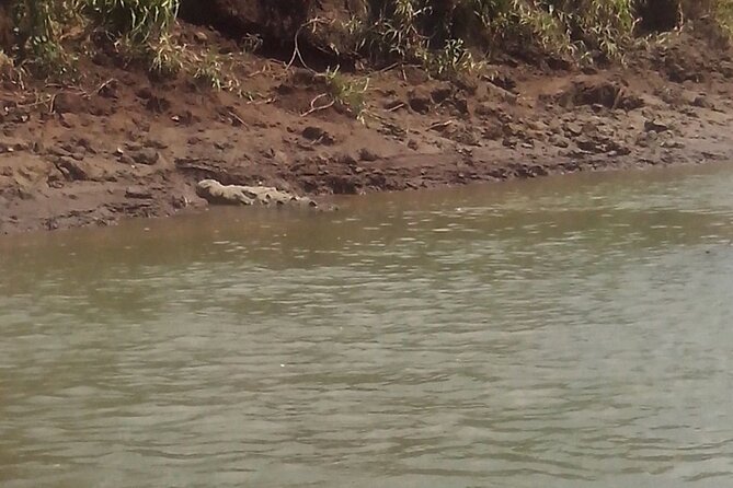 Tarcoles River Crocodile and Wildlife River Trip From San Jose - Booking Process