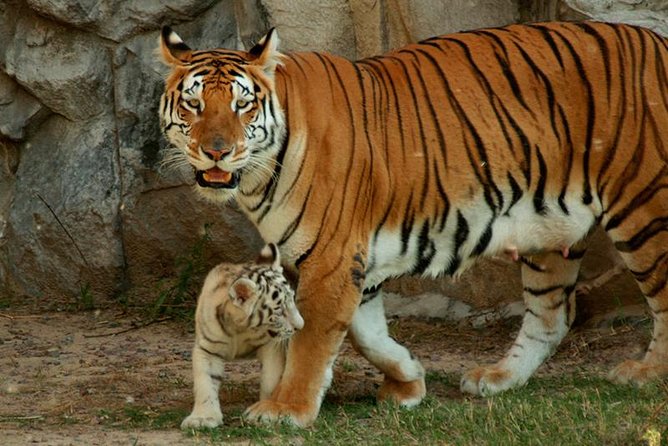 Temaiken Biopark Day Tour From Buenos Aires - Frequently Asked Questions