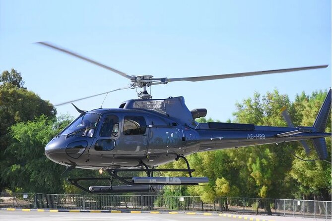 The 17-Minute Palm Helicopter Tour - Safety and Compliance Measures