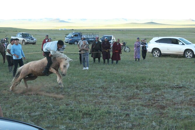 The Best of Central Mongolia Tour in 3 Days - The Sum Up