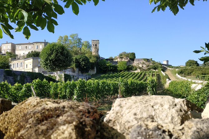 The Best of Saint-Emilion : City Highlights Walking Tour - Booking Information