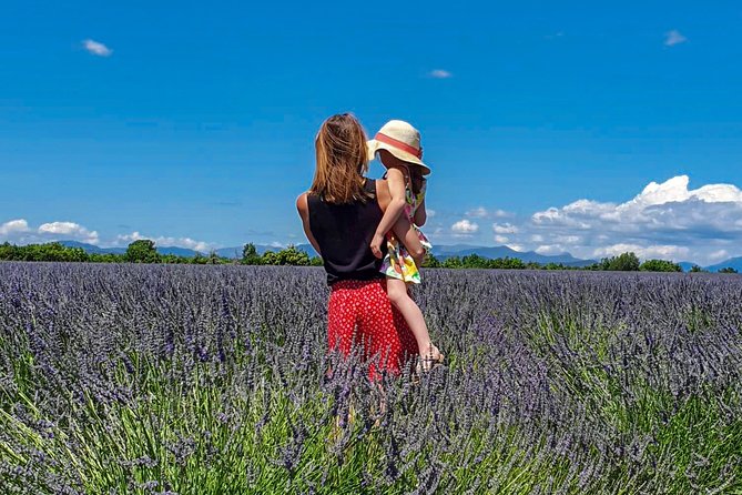 The Lavender Road in 2cv - Booking Information and Price