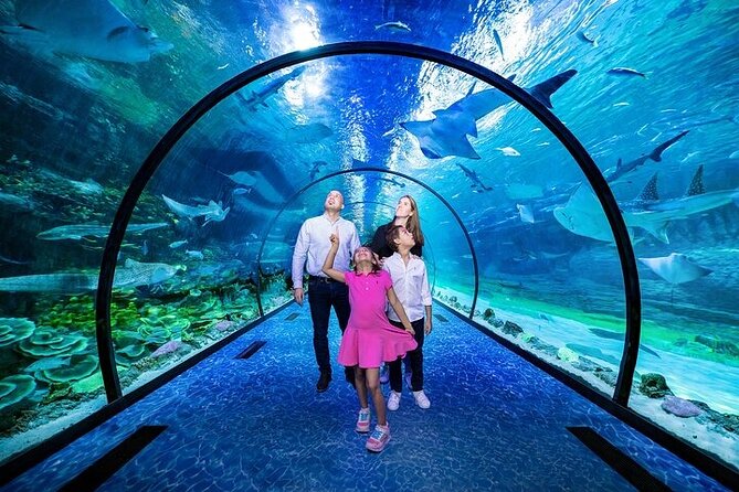 The National Aquarium in Abu Dhabi Tickets - Booking Details