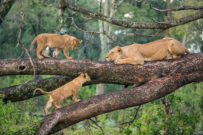 The Northern Tanzania Adventure - Additional Activities and Costs