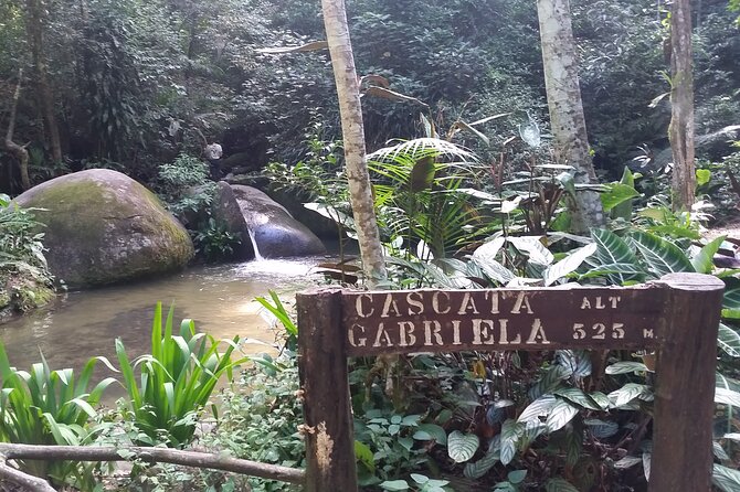 The Tijuca Forest, the Jardim Bôtanico and Their Treasures - The Sum Up