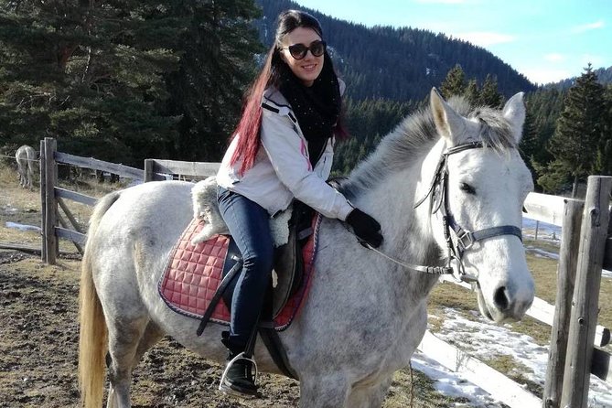The Ultimate Private Balkan Horse Riding Experience - Experience Price and Booking