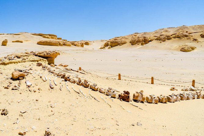 The Valley Of The Whales Two Days Tour From Hurghada With Camping - Inclusions and Exclusions