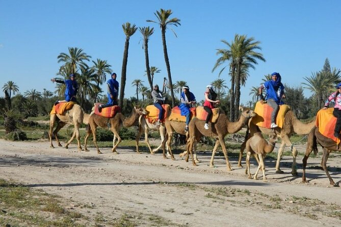 Things to Do in Marrakech: Camel Ride Experience - Frequently Asked Questions